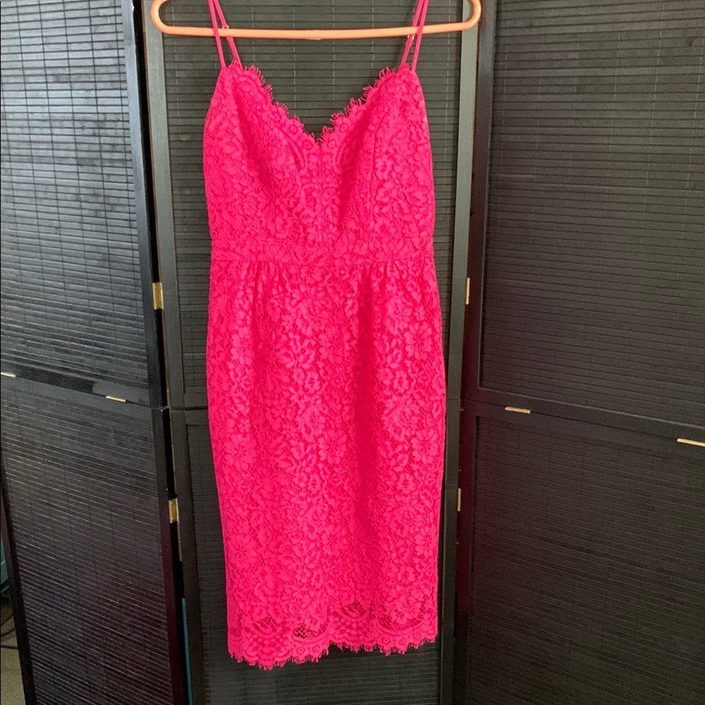 J.Crew Pink Lace Dress